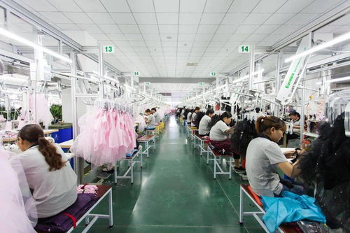 堅(jiān)持科技創(chuàng)新，引領(lǐng)會(huì)員企業(yè)高質(zhì)量發(fā)展取得新成果——聚焦科技技術(shù)開發(fā)